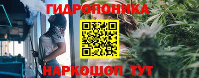 шишки Коммунар