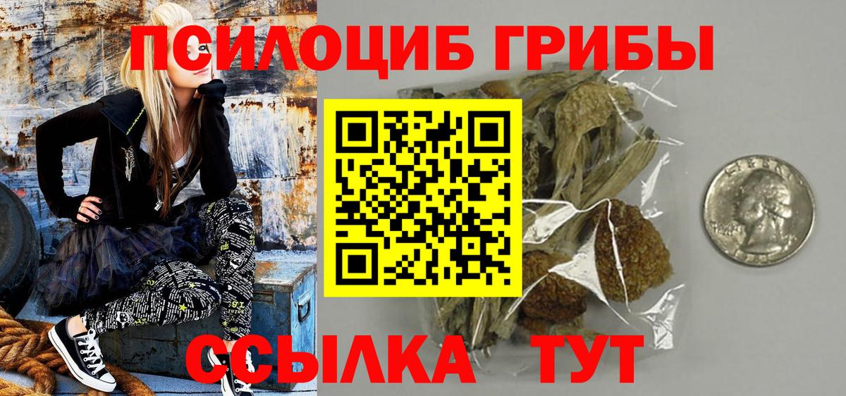 Галлюциногенные грибы Psilocybine cubensis Коряжма