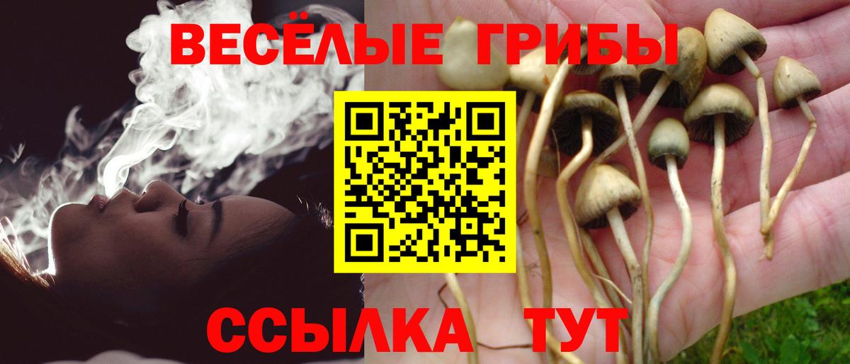 Коряжма  Псилоцибиновые грибы ЛСД  купить наркотики цена  Вход с VPN 